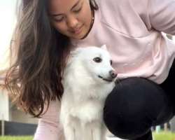 The star is accompanied buy a cute dog in her home.